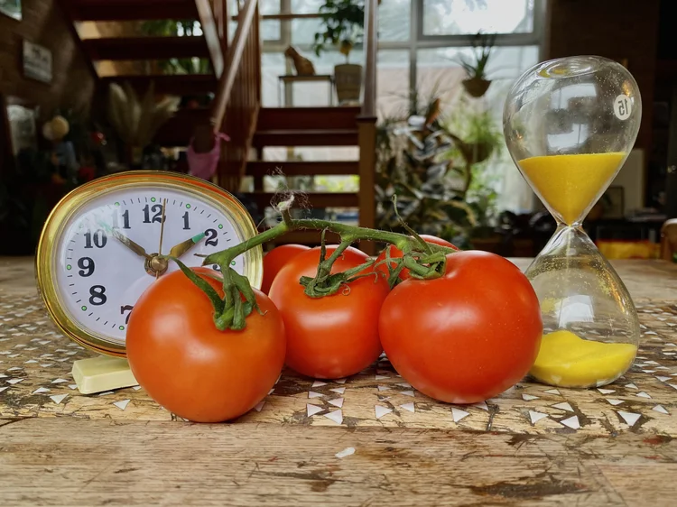 The History of Pomodoro