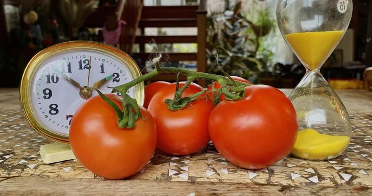 From Kitchen Timers to Cognitive Science
